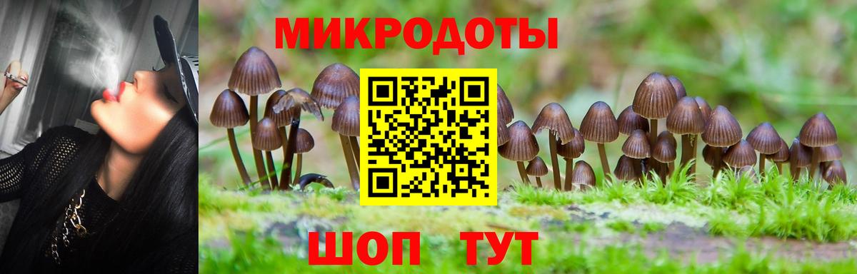 Галлюциногенные грибы MAGIC MUSHROOMS  где купить   Псилоцибиновые грибы Cubensis  Троицк  Вход с VPN 
